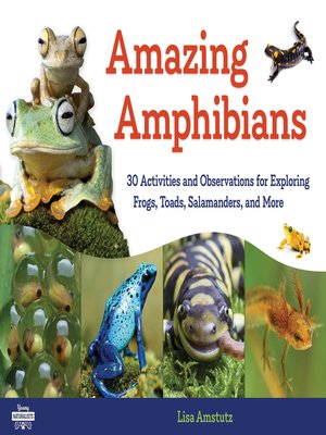 cover image of Amazing Amphibians